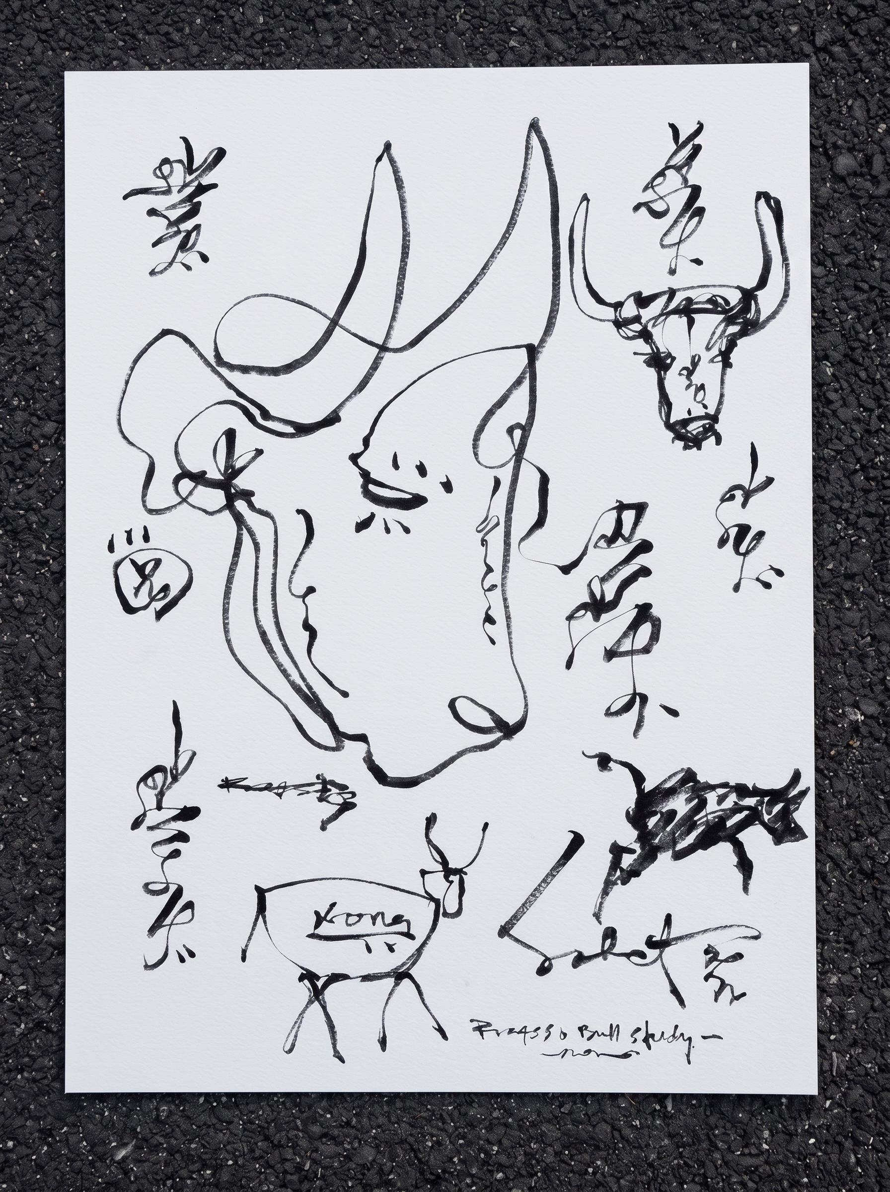 Picasso 🐂 Bull Study 2026 Sabet Original 11” x 15”