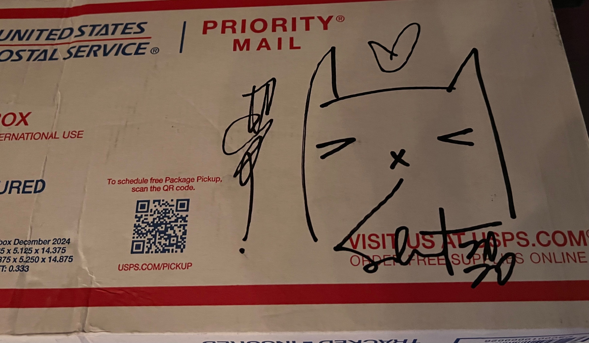 Untitled 2026 Sabet Original USPS Box